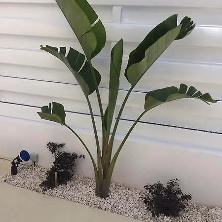 Narcissos Bay View Villa Protarász