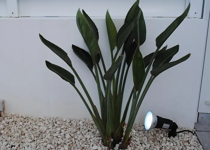 Narcissos Bay View * Protaras